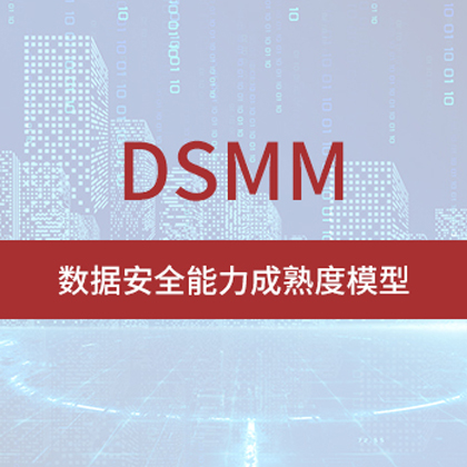 DSMM資質(zhì)的六大認證要求詳解